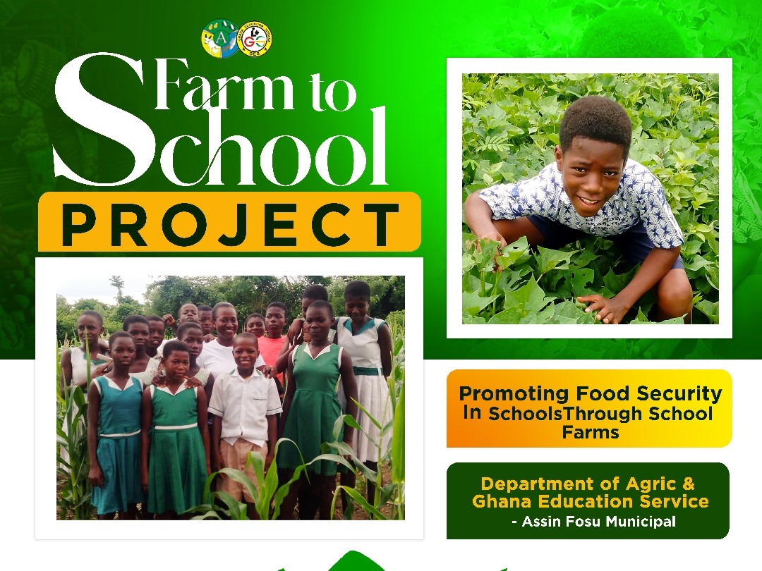 FARM TO SCHOOL PROJECT. A COLLABORATION BETWEEN DEPARTMENT OF AGRIC AND GES – ASSIN FOSU